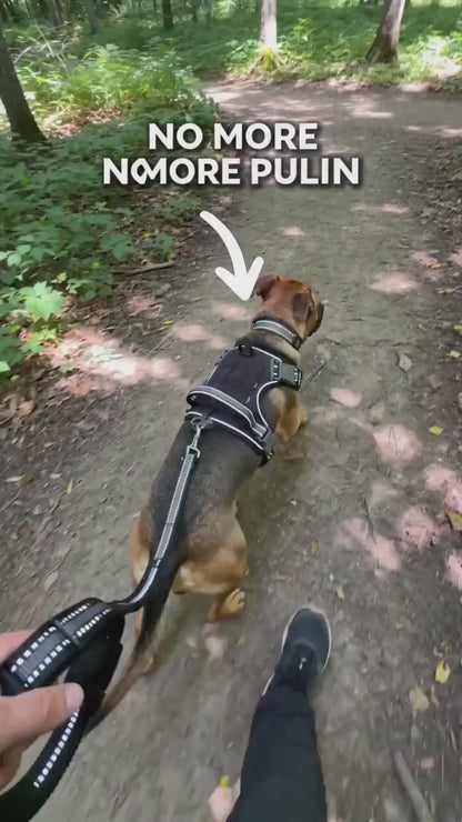 Tactical Reflective Dog Harness