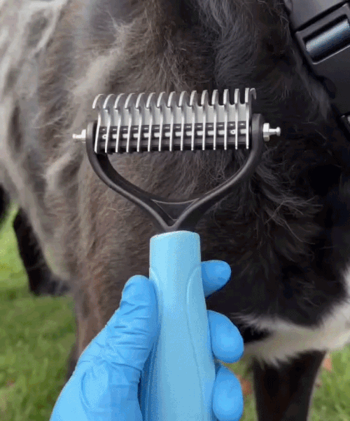 DualCare™ Double-Sided Grooming Brush for Dogs & Cats