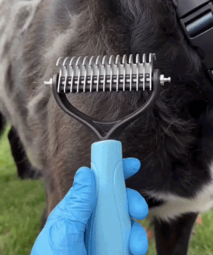 DualCare™ Double-Sided Grooming Brush for Dogs & Cats